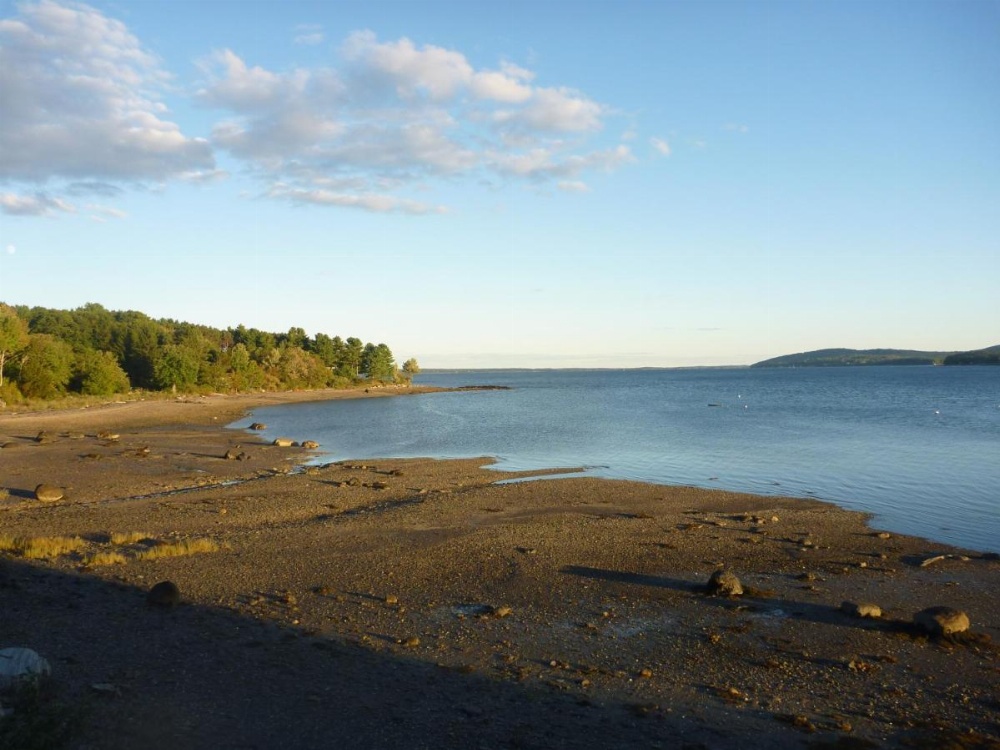 Belfast Harbor Inn Image 14