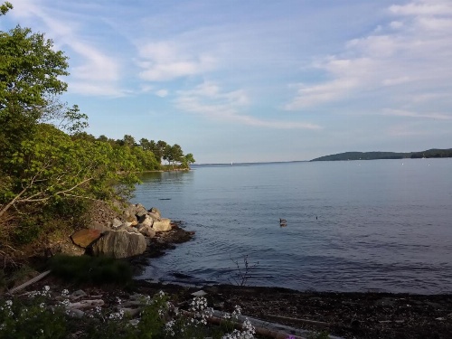 Belfast Harbor Inn image 15