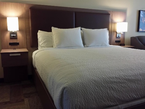 Belfast Harbor Inn image 3