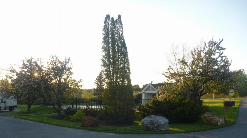 Belfast Harbor Inn image 7